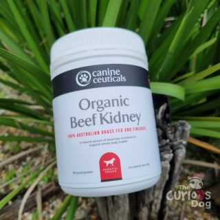 Photo of Organic Beef Kidney Canine Supplement