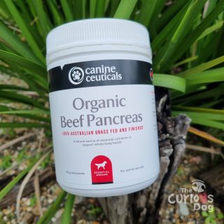 Photo of Organic Beef Pancreas canine supplement