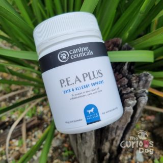 Photo of PEA Plus Canine Supplement