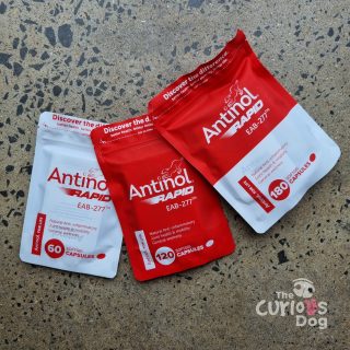 Image of Antinol Rapid canine supplement for omega 3's